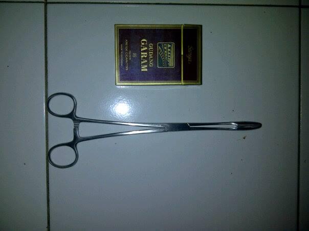 Guting Jepitan Tikus
