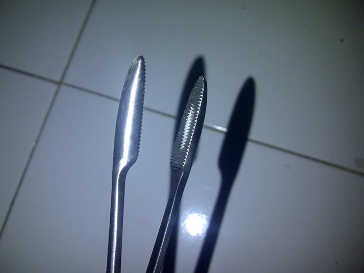 Guting Jepitan Tikus