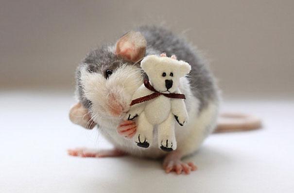 potret lucu dan menggemaskan tikus dengan miniatur teddy bear