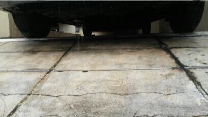 Story Of This Morning: Kucing Mati Misterius
