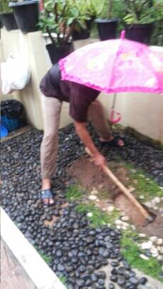 Story Of This Morning: Kucing Mati Misterius