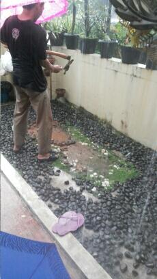 Story Of This Morning: Kucing Mati Misterius