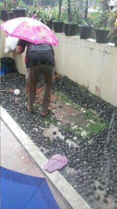 Story Of This Morning: Kucing Mati Misterius