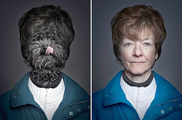 Anjing Membuat Paspoto Seperti Manusia