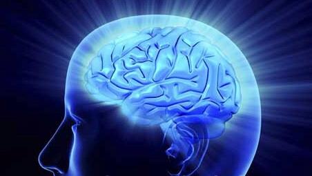 5 Makanan Yang Mencerdaskan Otak Anda