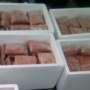 daging serbuk dogfood