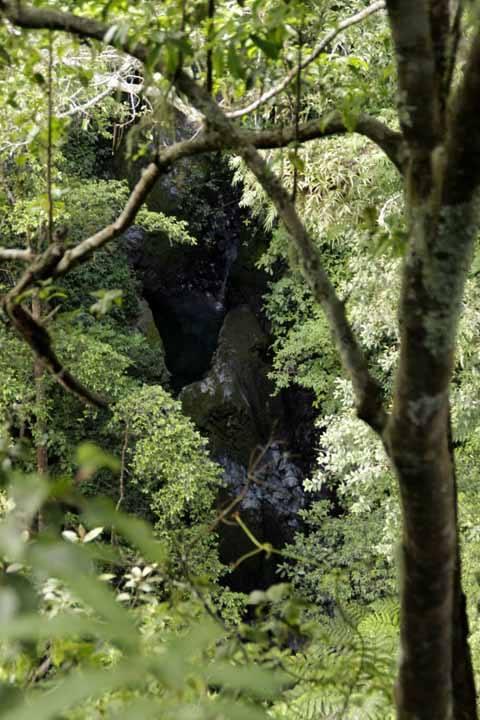 Merintis Jalur Coklak Puncak Selatan Gunung Raung