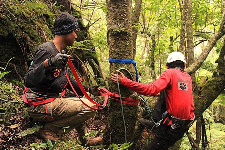 Merintis Jalur Coklak Puncak Selatan Gunung Raung