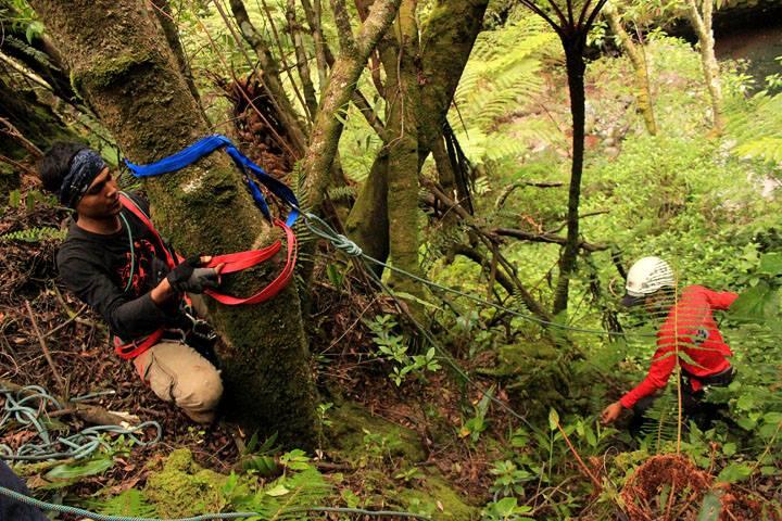 Merintis Jalur Coklak Puncak Selatan Gunung Raung