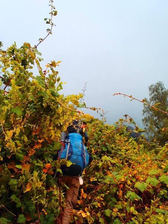 Merintis Jalur Coklak Puncak Selatan Gunung Raung