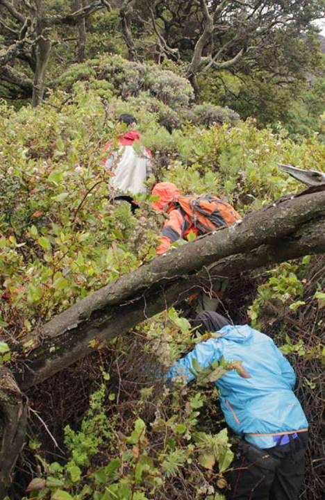 Merintis Jalur Coklak Puncak Selatan Gunung Raung