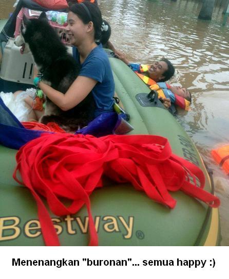 &#91;MENGHARUKAN&#93; Menyelamatkan Hewan Dari Bencana Banjir Jakarta