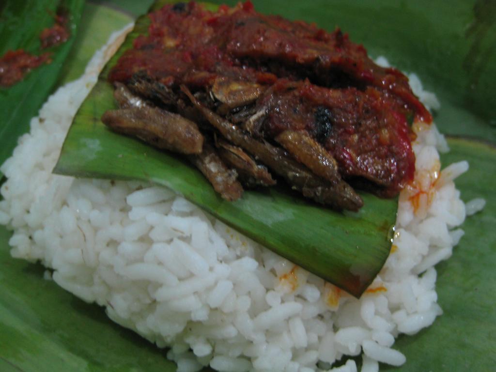 NASI KUCING Makanan Murah Meriah Muntah (4M) &#91;KREATIF&#93;