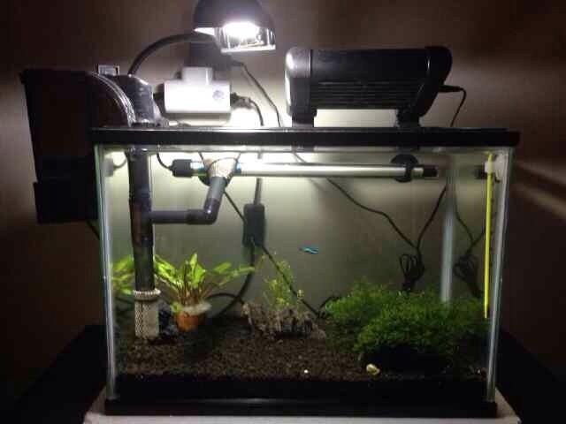 Dijual aquascape dan peralatan lengkap