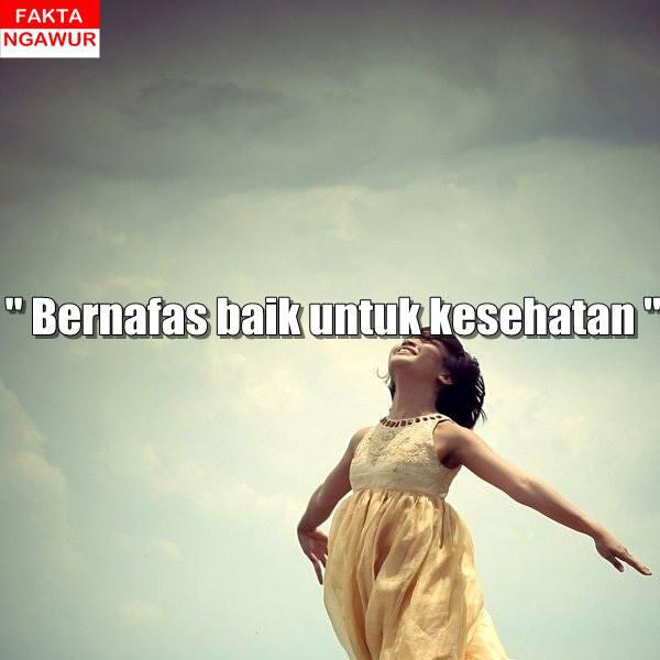 Sebuah Fakta yang dibuat ngawur (FAKTA NGAWUR) masuk gan..