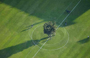 Pohon Ditengah Lapangan Bola Yang Tidak Boleh DItebang 
