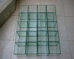 Lagi Cari Aquarium Cupang