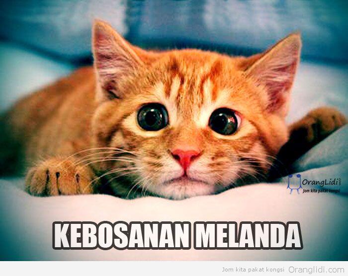 Kampung Halaman yang Istimewa, apa sih yang bikin kampung halaman jadi spesial??