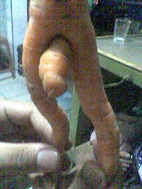 (HOT) Wortel unik nih gan ... maaf agak BB (18+)
