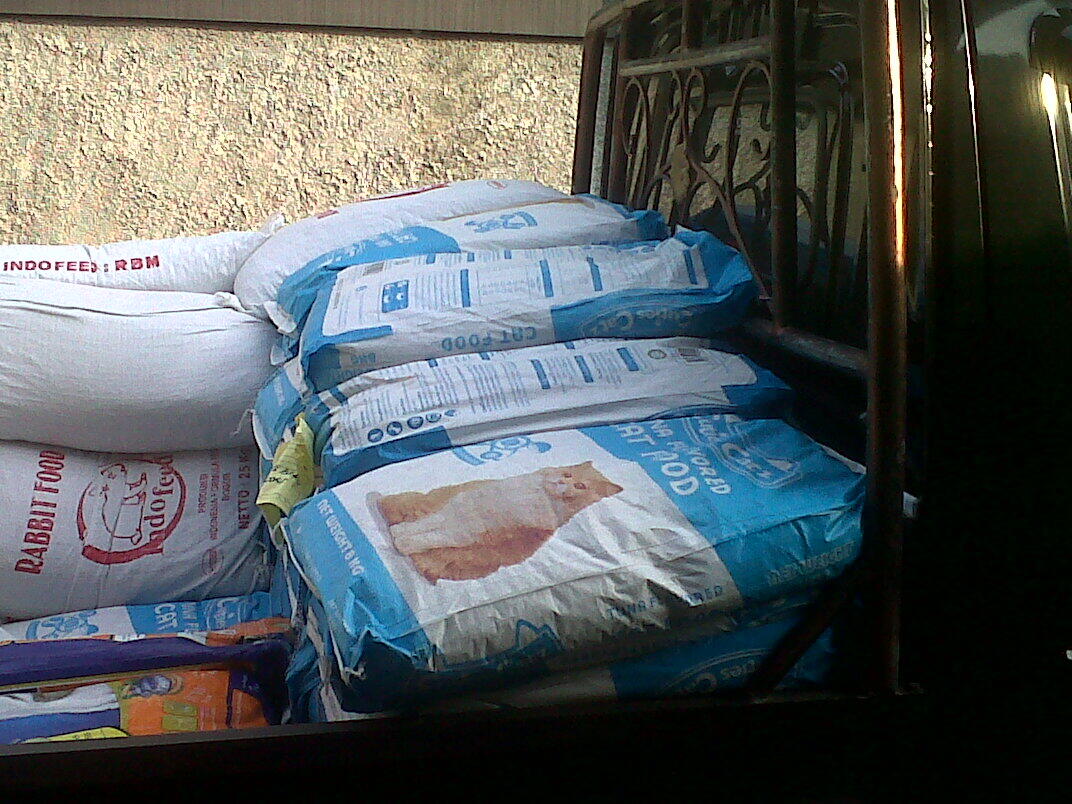 Cat Food / pakan kucing berkwalitas harga bersahabat