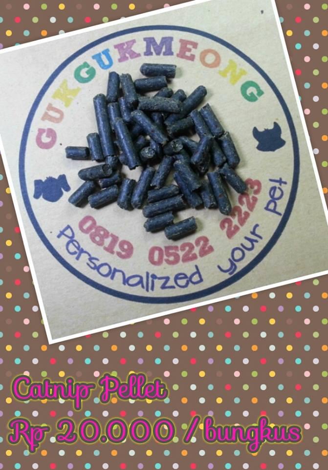 Catnip untuk Kucing