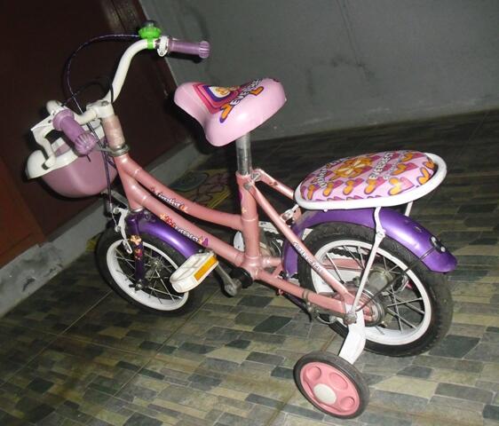 Terjual Sepeda  anak anak Everbest  KASKUS