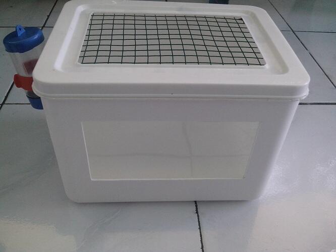 Paket Hamster Pemula Murah Meriah