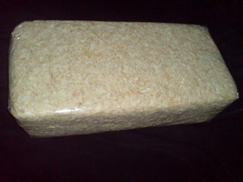 Paket Hamster Pemula Murah Meriah