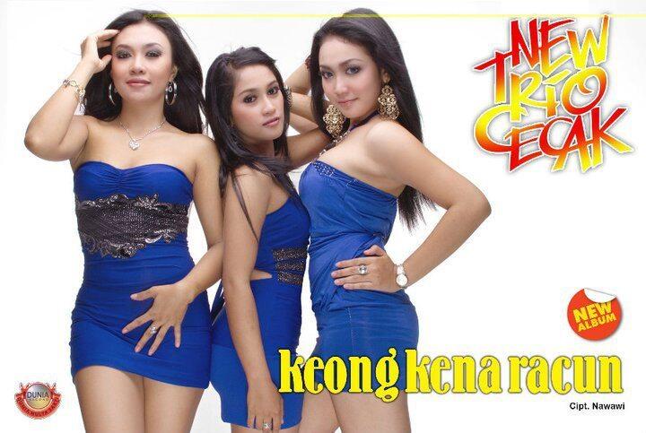&#91;Unik&#93; Cicak/Cecak Ini Bisa Nyanyi Gan !!