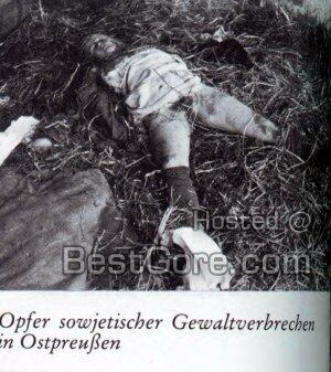 &#91;KONSPIRASI&#93; HOLOCAUST, FACT OR FICTION?