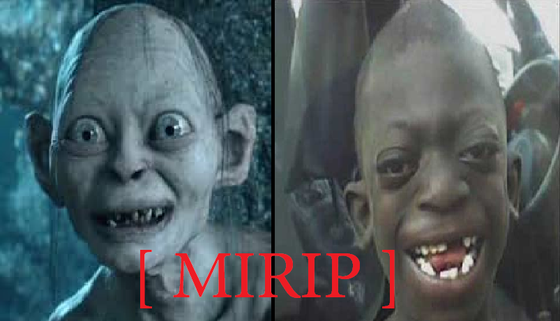 Gollum / Smeagol Itu Nyata !!!