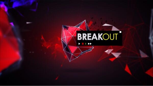 Program NET. TV