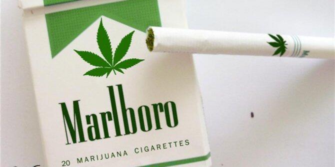 HEBOH!!! Jual Marlboro ganja, saham Phillip Morris melejit 1.101 persen