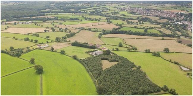 7 Kisah Nyata Tentang Cinta Sejati di Dunia