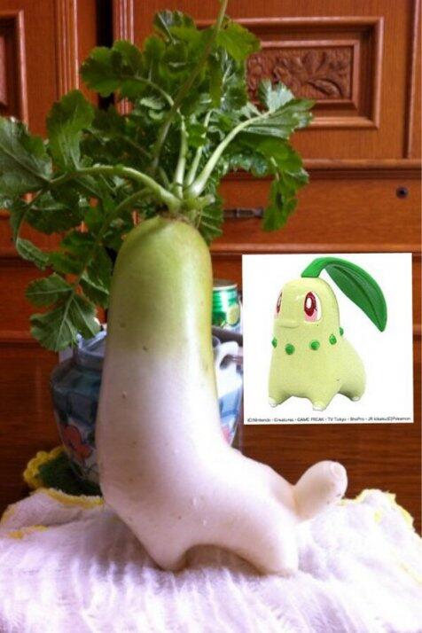 Imutnya, ada lobak mirip karakter Pokemon!