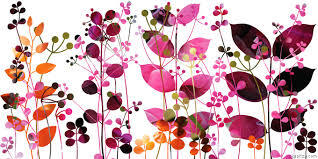 Mari membuat Herbarium