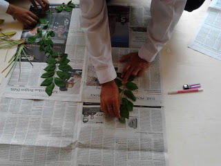 Mari membuat Herbarium
