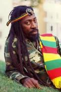 BOB MARLEY &amp; THE WAILERS !