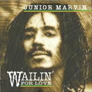 BOB MARLEY &amp; THE WAILERS !