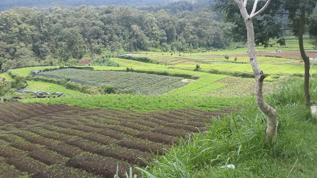serunya perjalanan Prigen - Batu !!