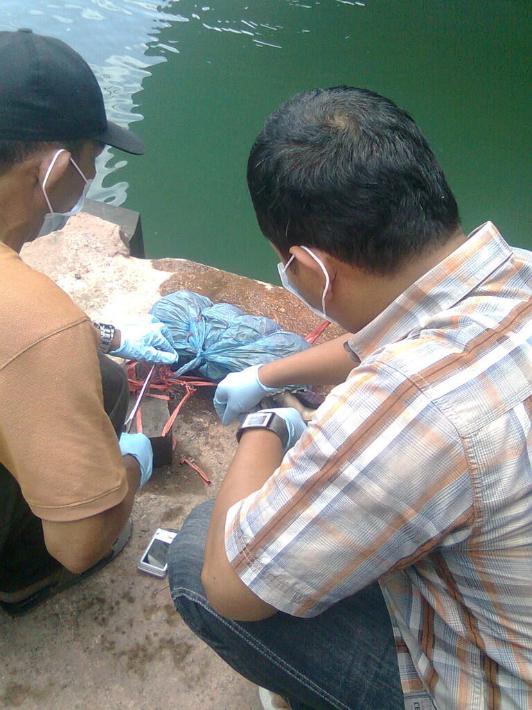 (Berita) WANTED !!! Berani Berbuat Berani Bertanggung Jawab