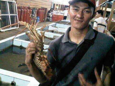 mencari.....