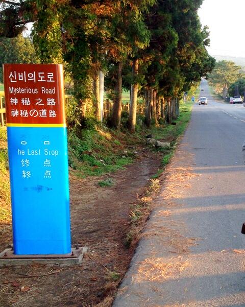Liburan Awal Musim Dingin Korea Selatan 12-23 November 2013