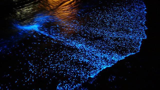 WOW! Pantai ini Bisa Menyala