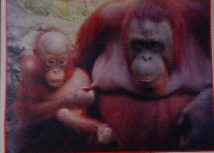 »»Masuk mari gan.. Biar foto yg bicara..««