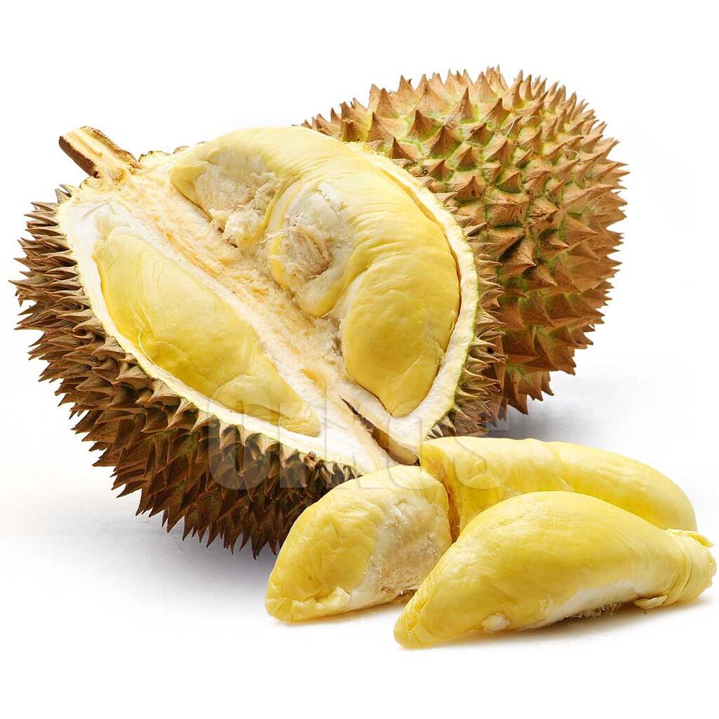 DURIAN LOVERS MASUK (BERita BARu)