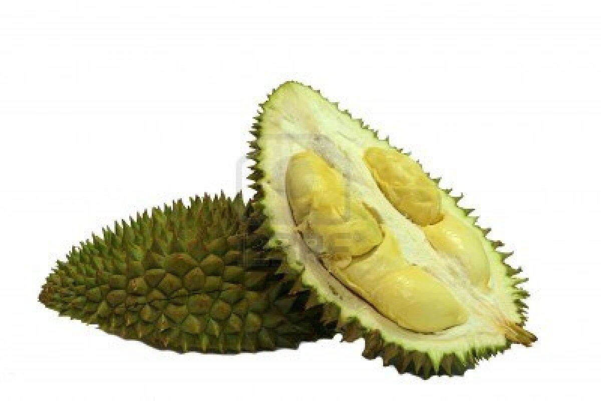 DURIAN LOVERS MASUK (BERita BARu)