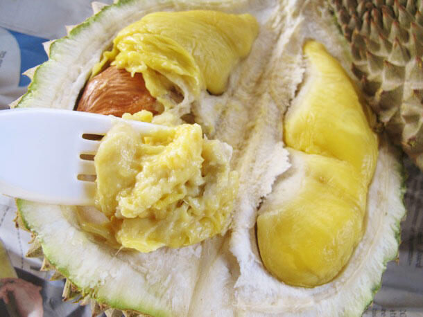 DURIAN LOVERS MASUK (BERita BARu)