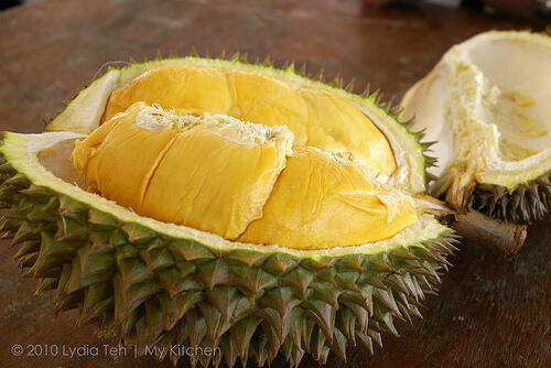 DURIAN LOVERS MASUK (BERita BARu)