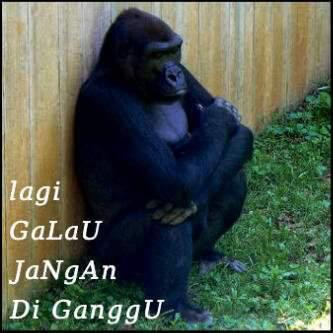 Tips Sembuh Dari Galau di Tahun 2014